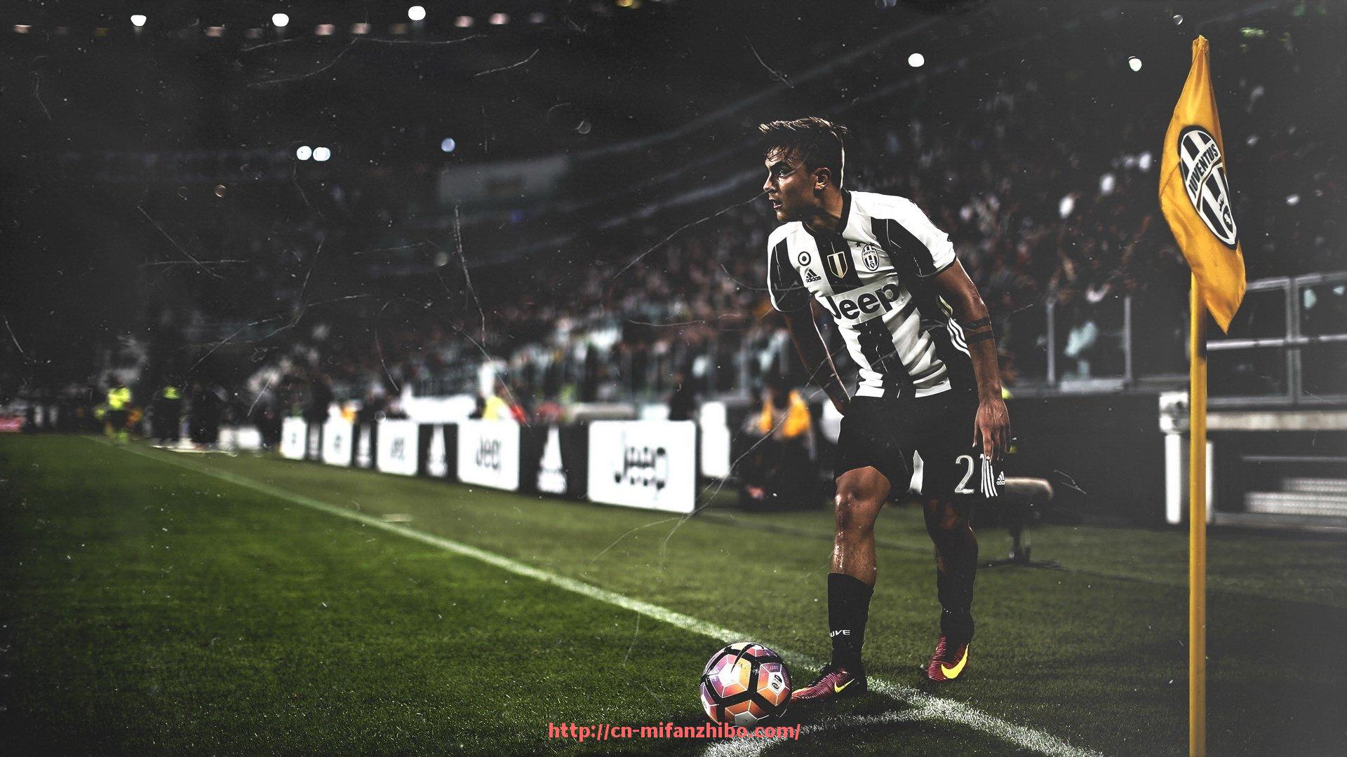 秘饭直播-郎平曾执教意甲球队的幕后故事与启示