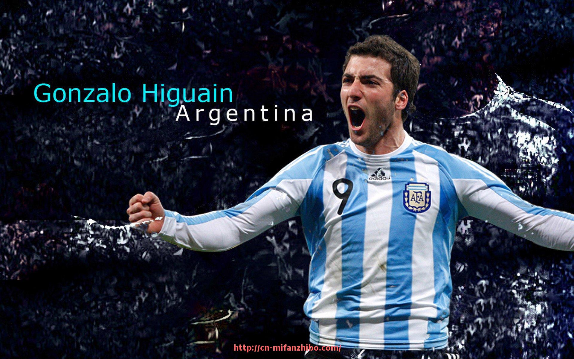 秘饭直播-什么健身器材适合女性的详细介绍与使用建议